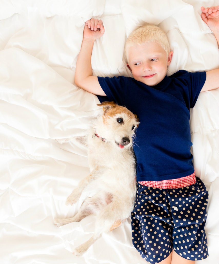 Boys 100% Woven Cotton Boxers - Navy Spot